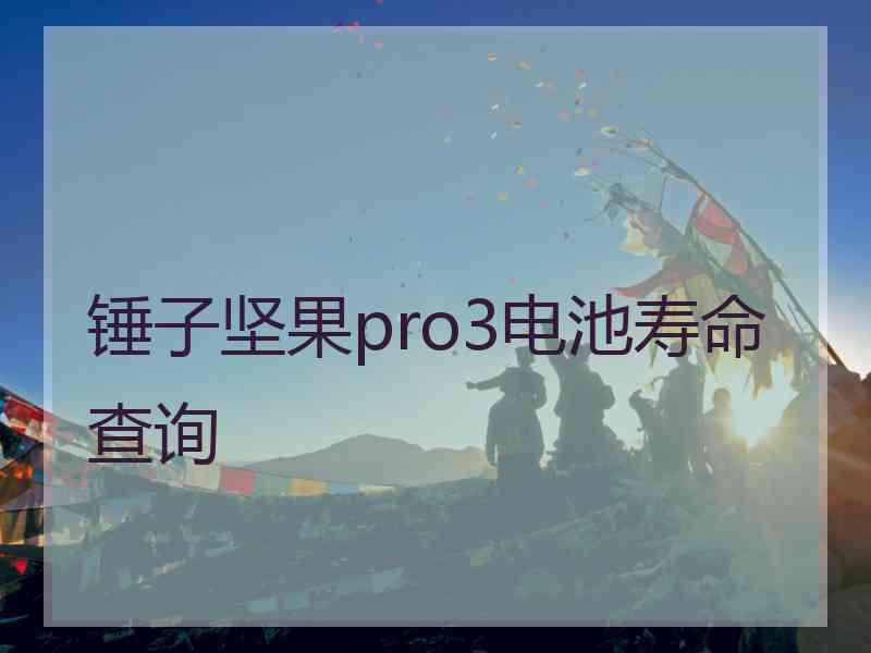 锤子坚果pro3电池寿命查询