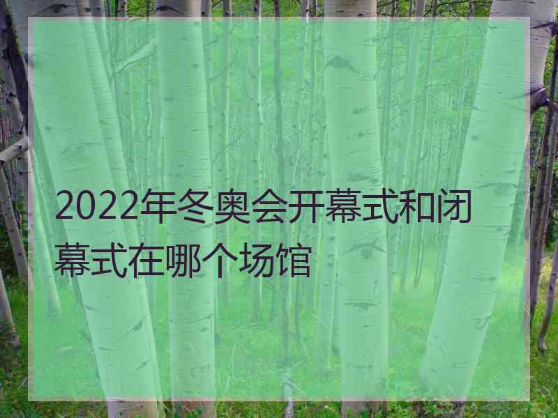 2022年冬奥会开幕式和闭幕式在哪个场馆