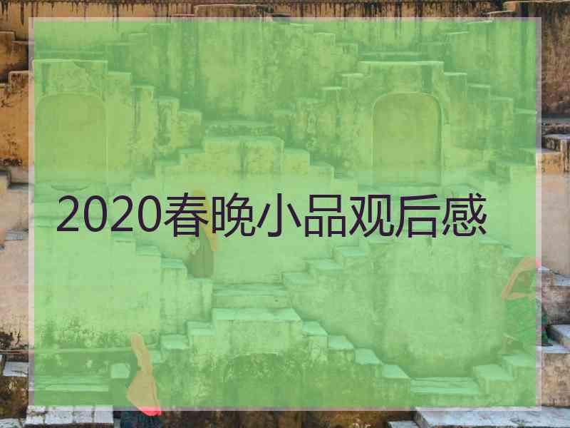 2020春晚小品观后感