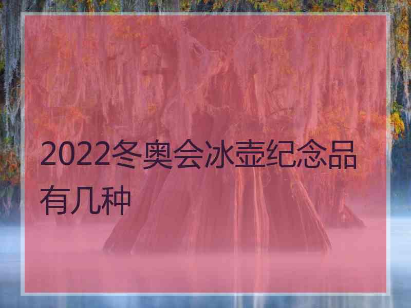 2022冬奥会冰壶纪念品有几种