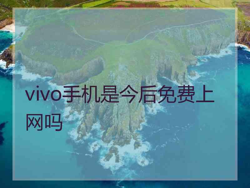 vivo手机是今后免费上网吗