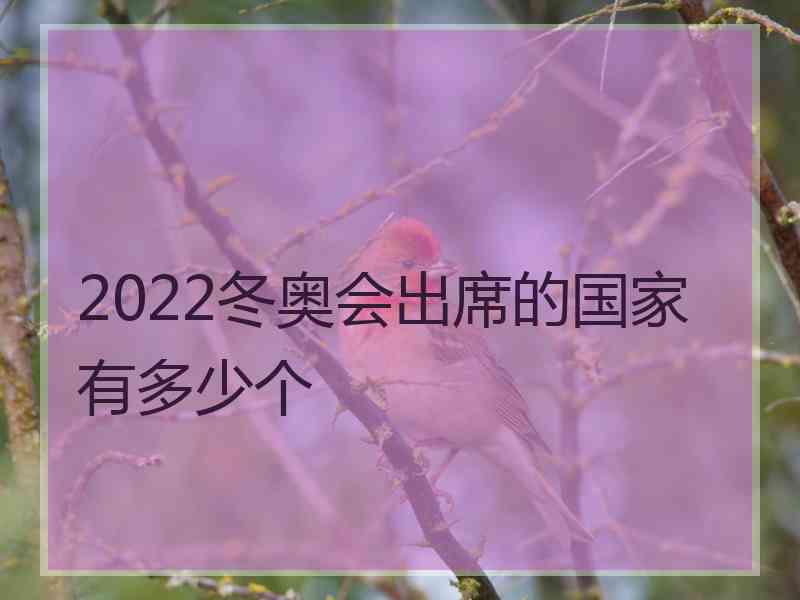 2022冬奥会出席的国家有多少个