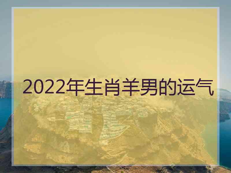 2022年生肖羊男的运气