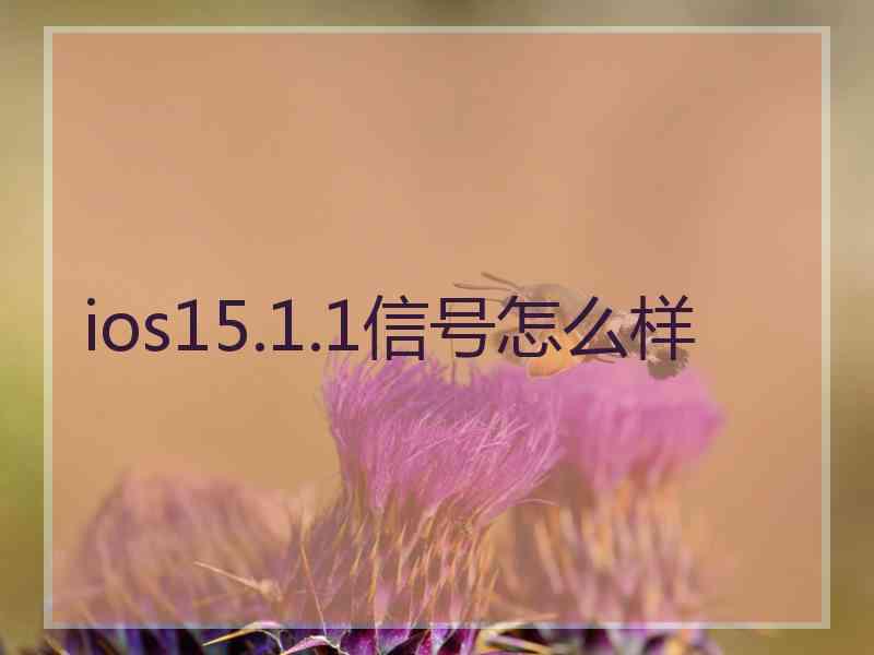 ios15.1.1信号怎么样