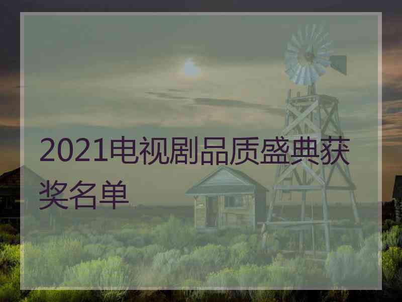 2021电视剧品质盛典获奖名单