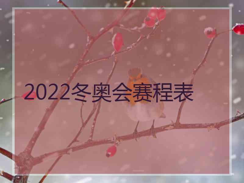 2022冬奥会赛程表