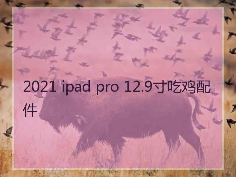 2021 ipad pro 12.9寸吃鸡配件