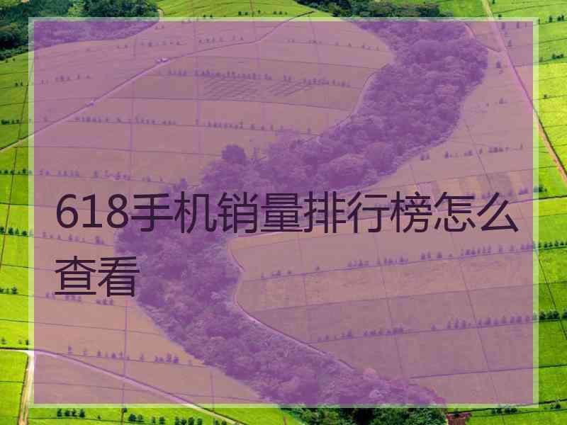 618手机销量排行榜怎么查看