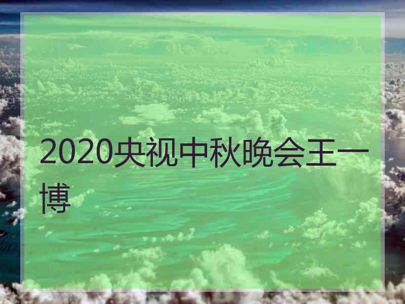 2020央视中秋晚会王一博