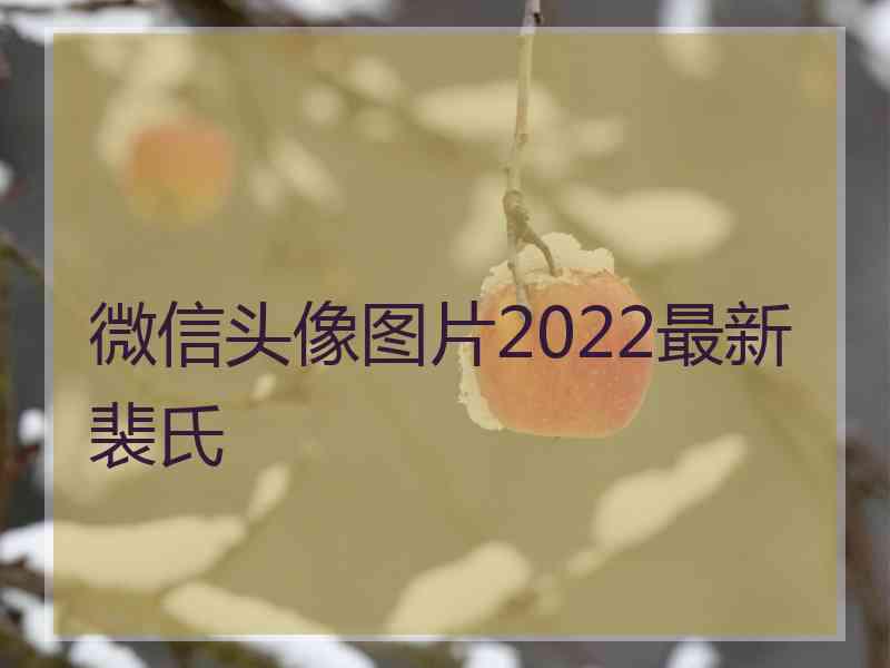 微信头像图片2022最新裴氏