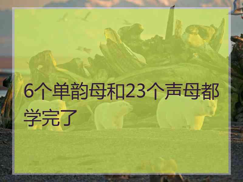 6个单韵母和23个声母都学完了