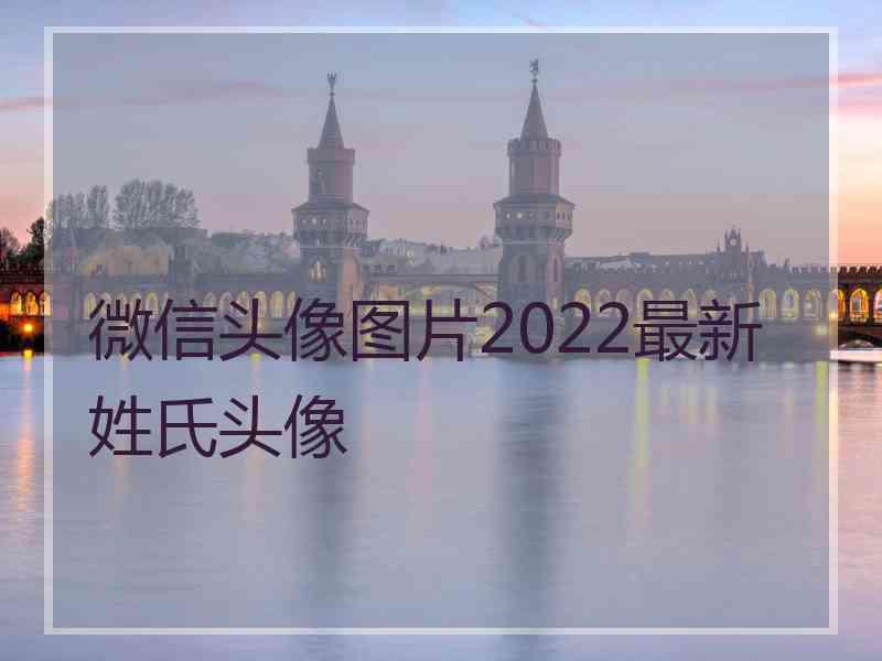 微信头像图片2022最新姓氏头像