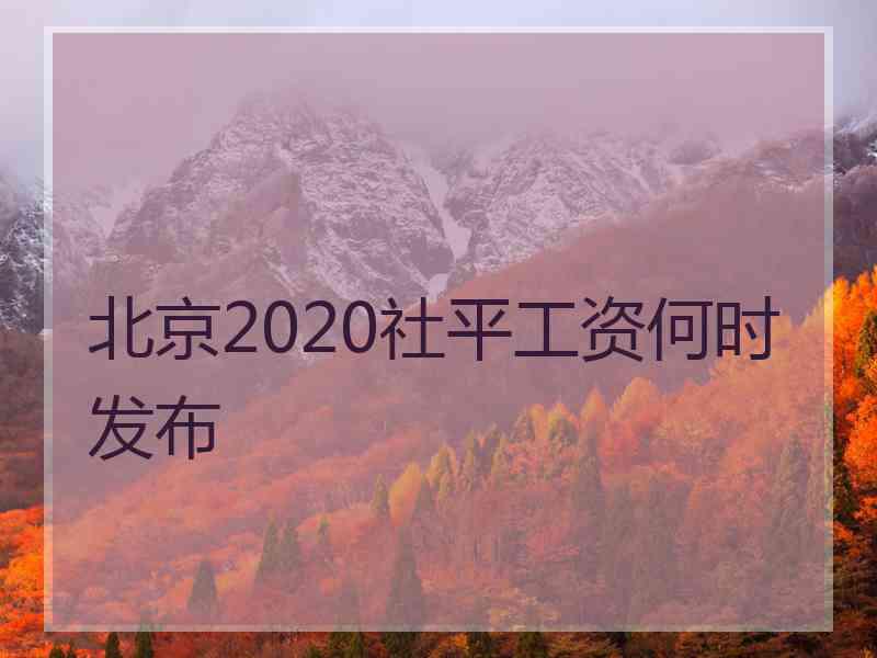 北京2020社平工资何时发布