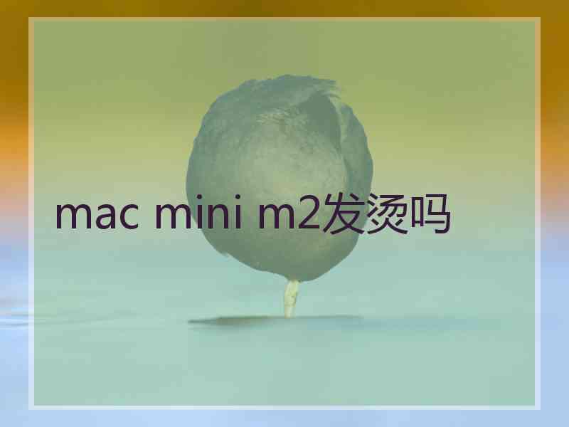 mac mini m2发烫吗