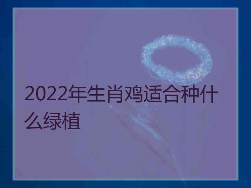 2022年生肖鸡适合种什么绿植