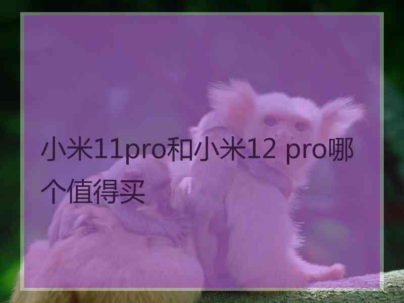 小米11pro和小米12 pro哪个值得买