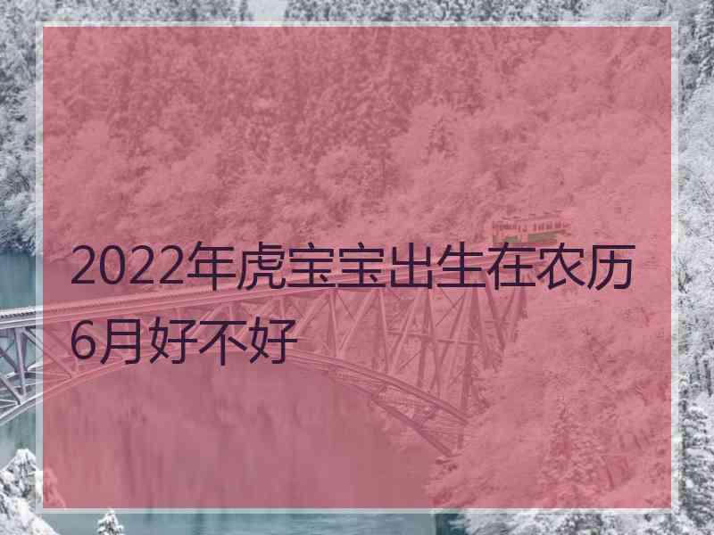 2022年虎宝宝出生在农历6月好不好