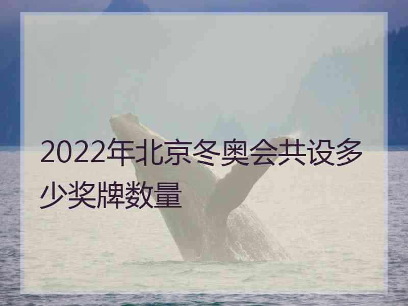 2022年北京冬奥会共设多少奖牌数量