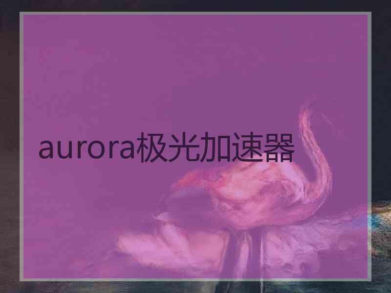 aurora极光加速器