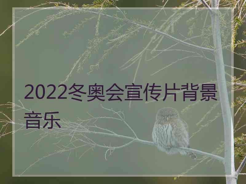 2022冬奥会宣传片背景音乐