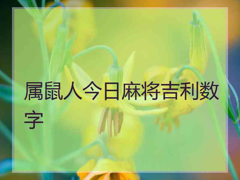 属鼠人今日麻将吉利数字