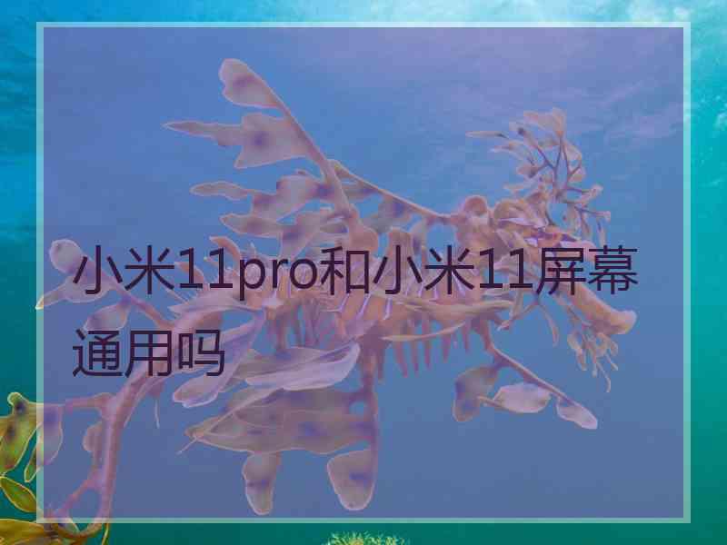 小米11pro和小米11屏幕通用吗