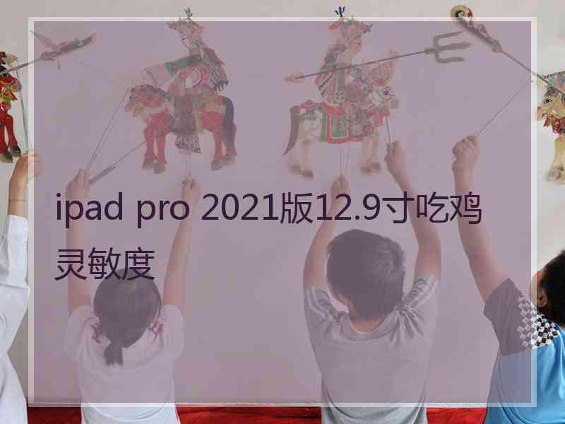 ipad pro 2021版12.9寸吃鸡灵敏度