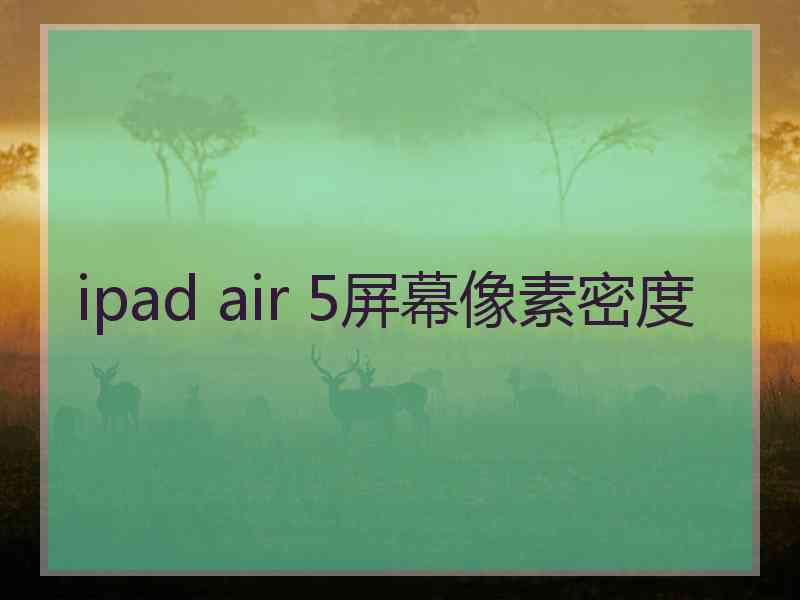 ipad air 5屏幕像素密度