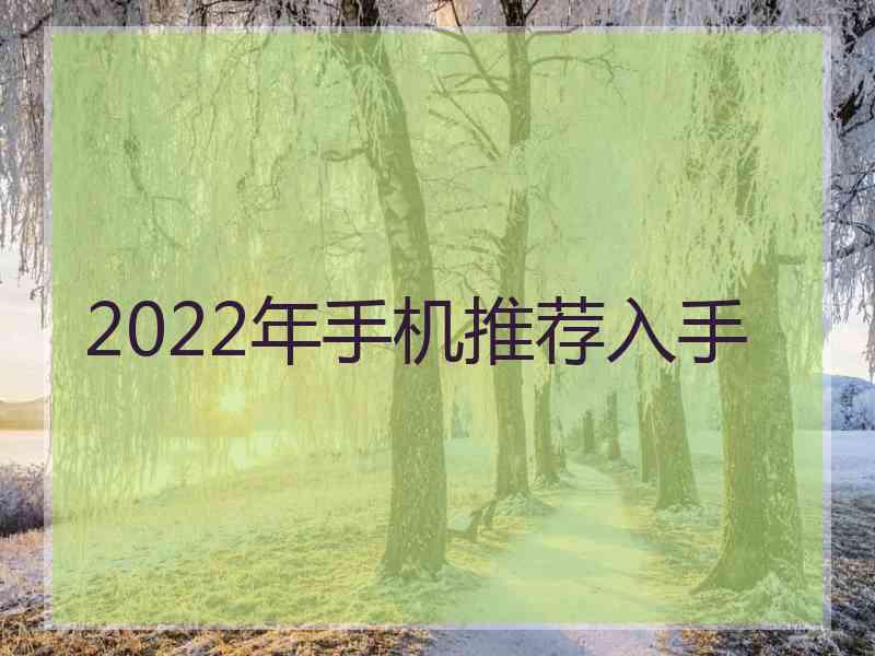 2022年手机推荐入手