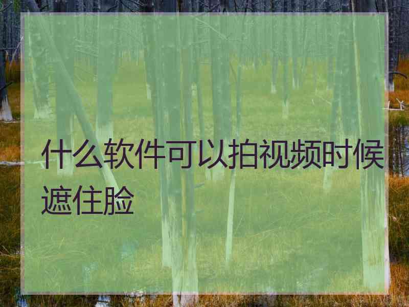 什么软件可以拍视频时候遮住脸