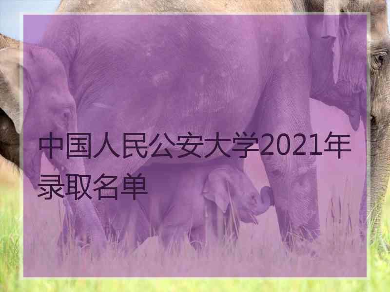 中国人民公安大学2021年录取名单