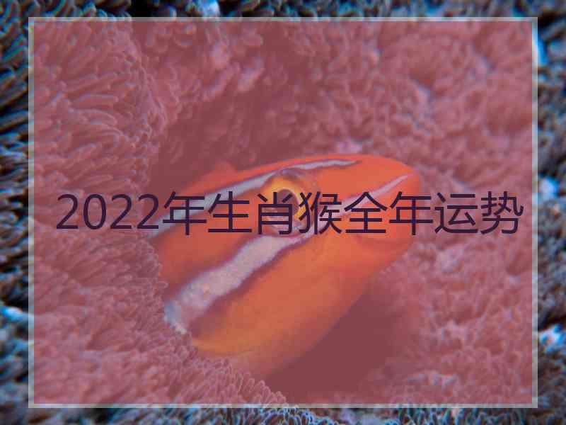 2022年生肖猴全年运势