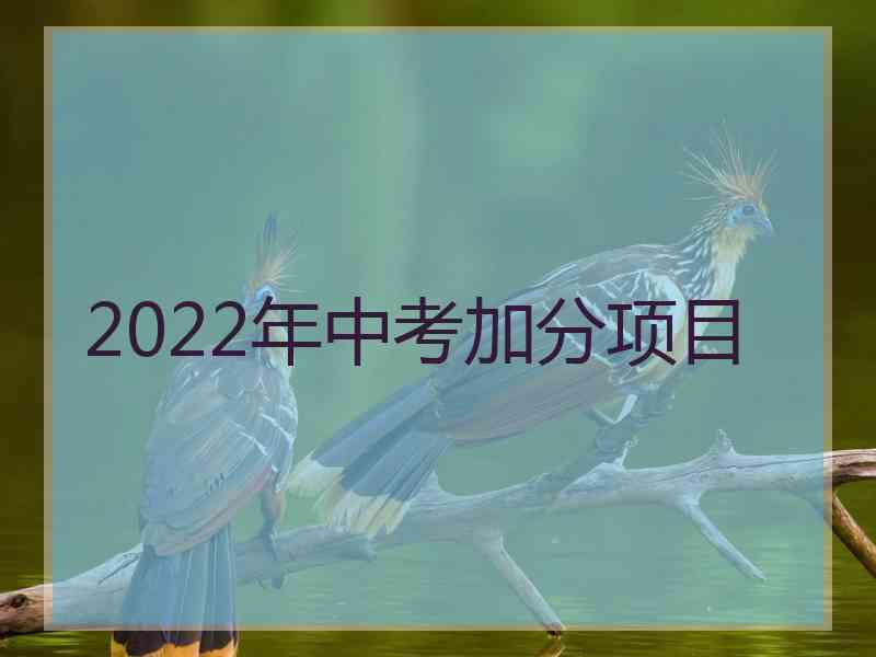 2022年中考加分项目