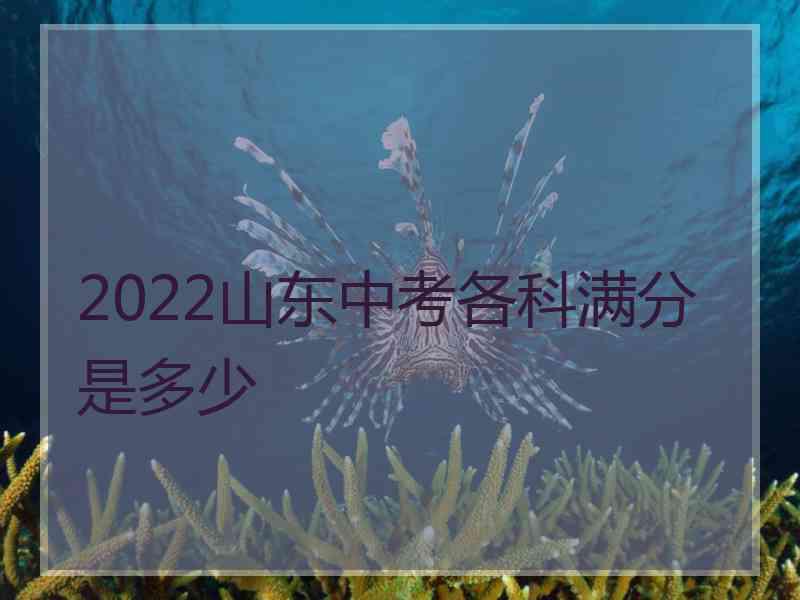 2022山东中考各科满分是多少