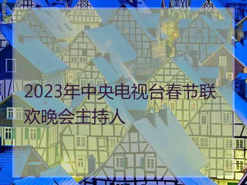 2023年中央电视台春节联欢晚会主持人