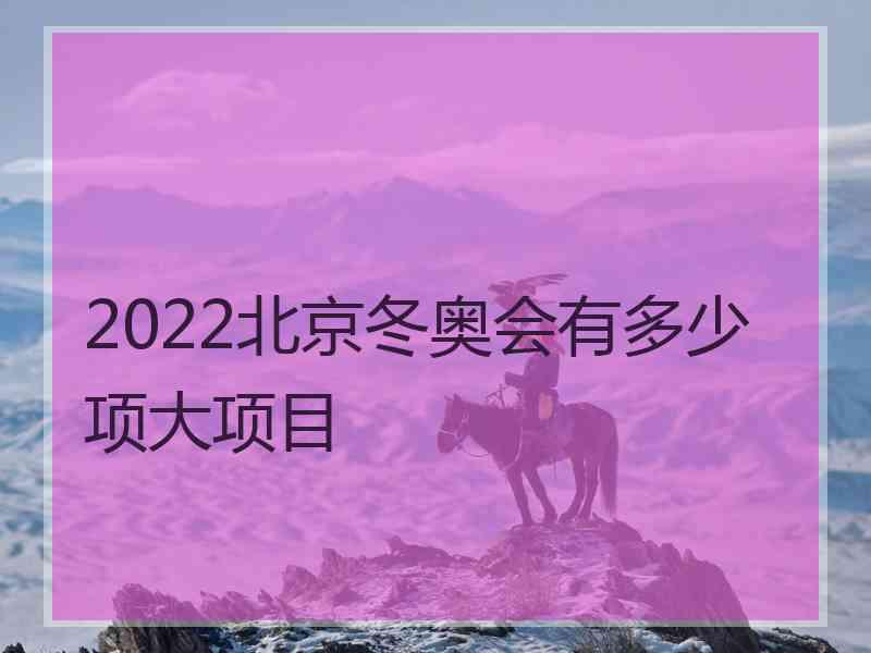 2022北京冬奥会有多少项大项目