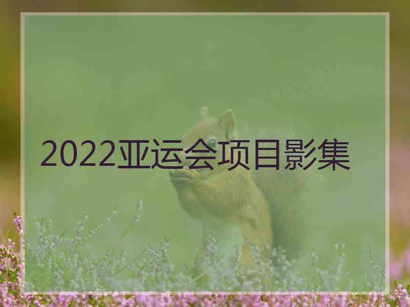 2022亚运会项目影集