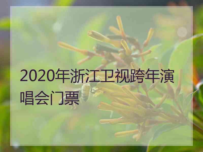 2020年浙江卫视跨年演唱会门票