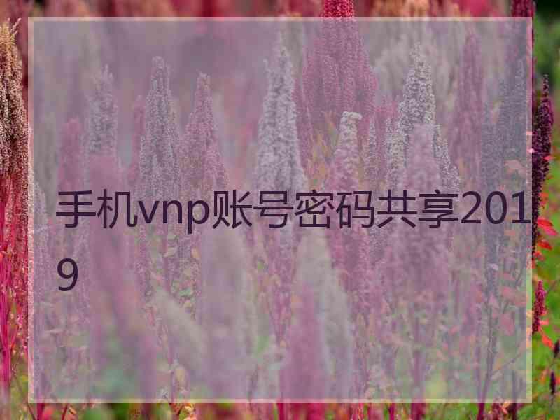 手机vnp账号密码共享2019 