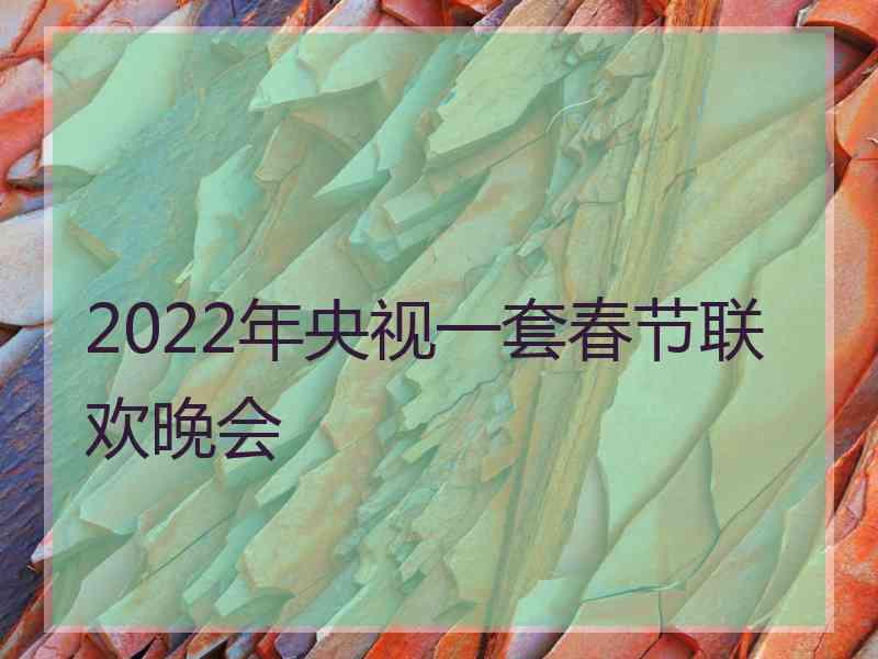 2022年央视一套春节联欢晚会