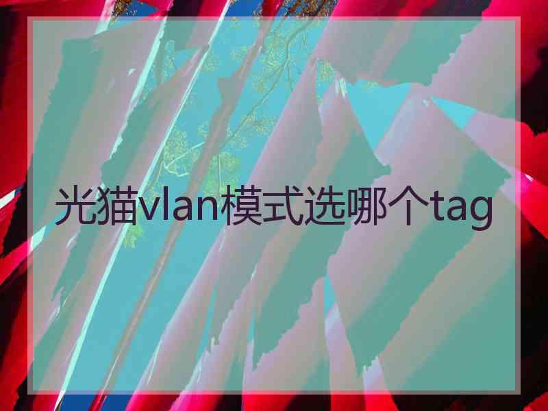 光猫vlan模式选哪个tag