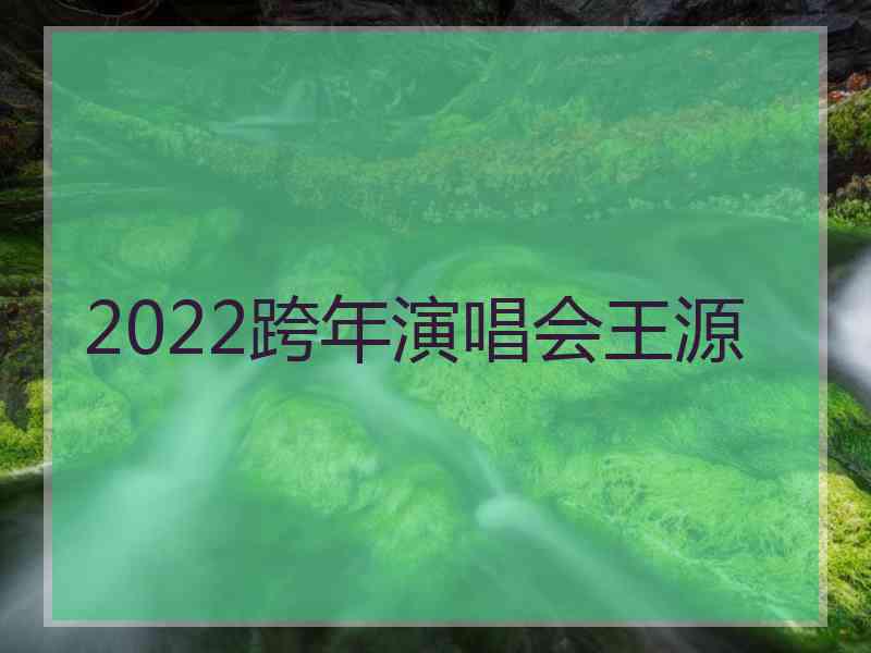 2022跨年演唱会王源