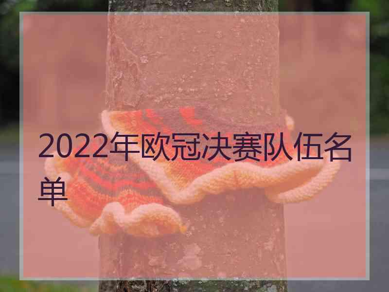 2022年欧冠决赛队伍名单