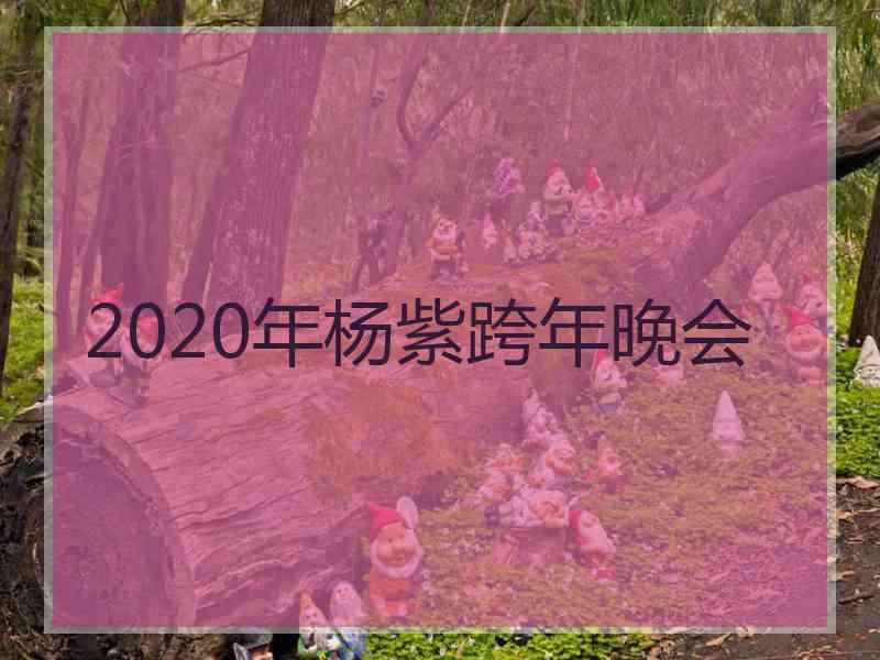 2020年杨紫跨年晚会