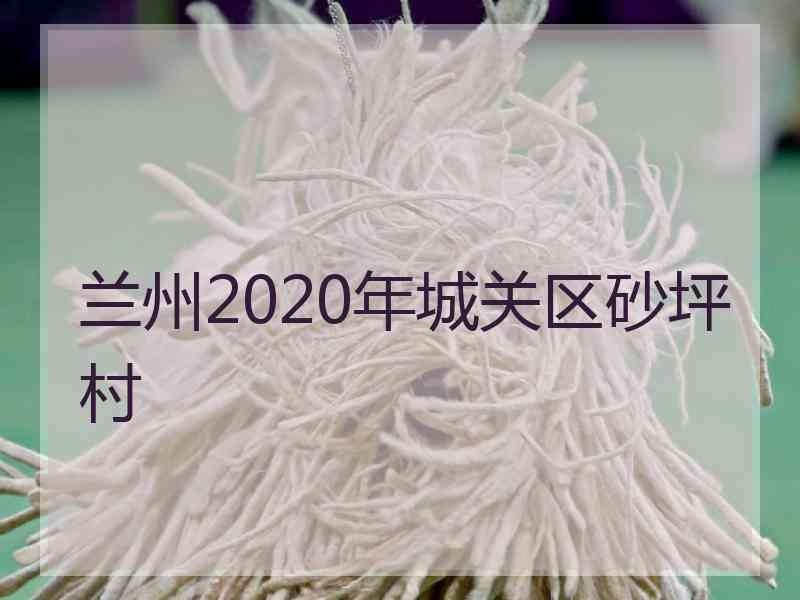 兰州2020年城关区砂坪村