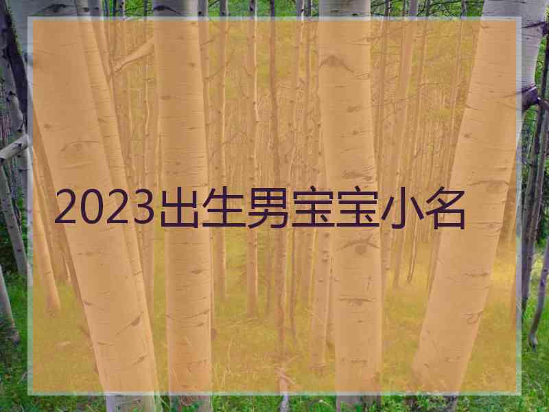 2023出生男宝宝小名