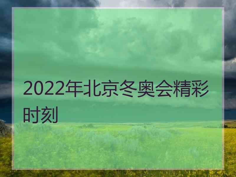 2022年北京冬奥会精彩时刻