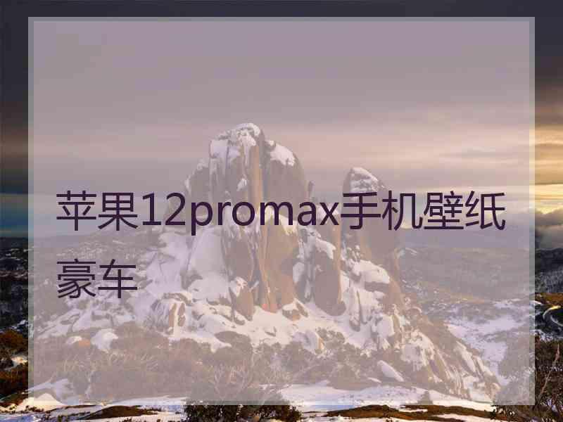 苹果12promax手机壁纸豪车