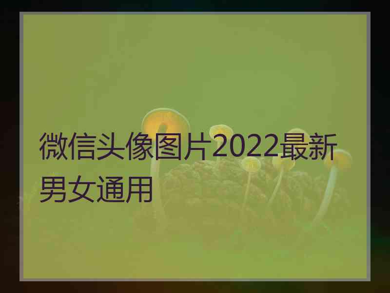 微信头像图片2022最新男女通用