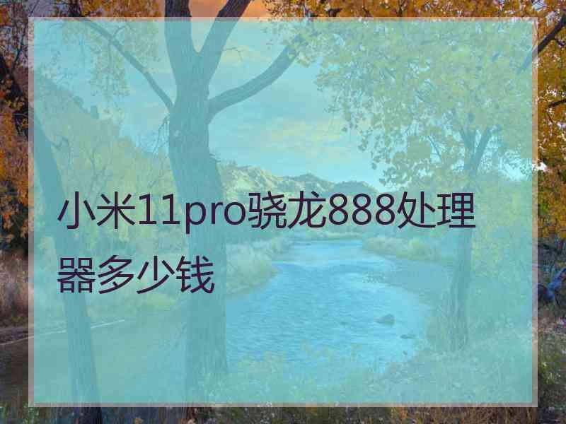 小米11pro骁龙888处理器多少钱